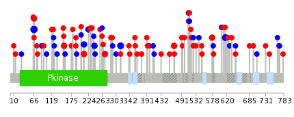 We used uniprot protein structure data from ensemble BioMart database. The size of circle shows the relative mutation number.