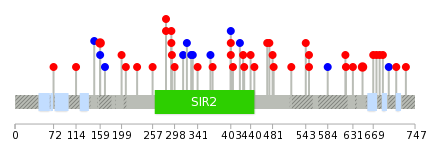 We used uniprot protein structure data from ensemble BioMart database. The size of circle shows the relative mutation number.