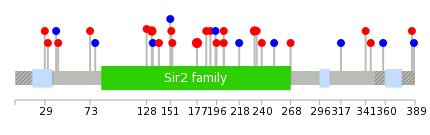 We used uniprot protein structure data from ensemble BioMart database. The size of circle shows the relative mutation number.