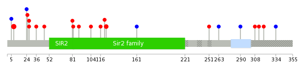 We used uniprot protein structure data from ensemble BioMart database. The size of circle shows the relative mutation number.