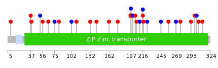 We used uniprot protein structure data from ensemble BioMart database. The size of circle shows the relative mutation number.