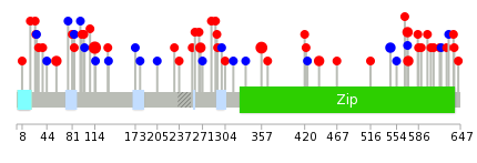 We used uniprot protein structure data from ensemble BioMart database. The size of circle shows the relative mutation number.