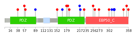 We used uniprot protein structure data from ensemble BioMart database. The size of circle shows the relative mutation number.