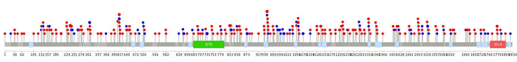 We used uniprot protein structure data from ensemble BioMart database. The size of circle shows the relative mutation number.