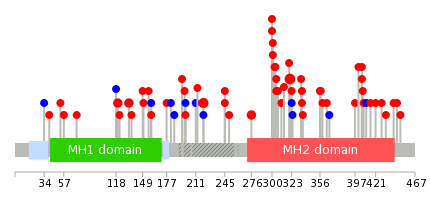 We used uniprot protein structure data from ensemble BioMart database. The size of circle shows the relative mutation number.