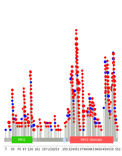 We used uniprot protein structure data from ensemble BioMart database. The size of circle shows the relative mutation number.