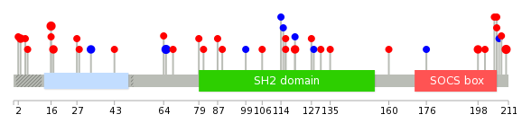 We used uniprot protein structure data from ensemble BioMart database. The size of circle shows the relative mutation number.