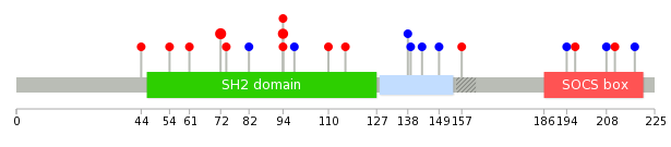 We used uniprot protein structure data from ensemble BioMart database. The size of circle shows the relative mutation number.