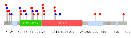 We used uniprot protein structure data from ensemble BioMart database. The size of circle shows the relative mutation number.