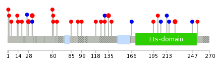 We used uniprot protein structure data from ensemble BioMart database. The size of circle shows the relative mutation number.