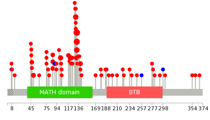 We used uniprot protein structure data from ensemble BioMart database. The size of circle shows the relative mutation number.