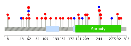 We used uniprot protein structure data from ensemble BioMart database. The size of circle shows the relative mutation number.