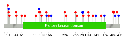 We used uniprot protein structure data from ensemble BioMart database. The size of circle shows the relative mutation number.