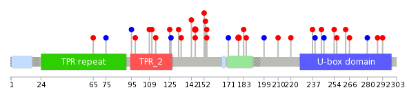 We used uniprot protein structure data from ensemble BioMart database. The size of circle shows the relative mutation number.