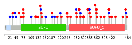 We used uniprot protein structure data from ensemble BioMart database. The size of circle shows the relative mutation number.