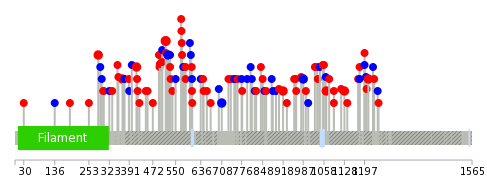 We used uniprot protein structure data from ensemble BioMart database. The size of circle shows the relative mutation number.