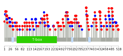 We used uniprot protein structure data from ensemble BioMart database. The size of circle shows the relative mutation number.