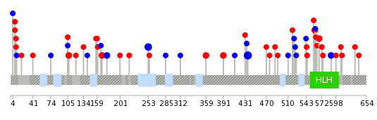 We used uniprot protein structure data from ensemble BioMart database. The size of circle shows the relative mutation number.