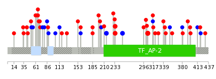 We used uniprot protein structure data from ensemble BioMart database. The size of circle shows the relative mutation number.