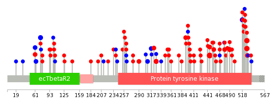 We used uniprot protein structure data from ensemble BioMart database. The size of circle shows the relative mutation number.