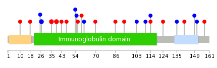 We used uniprot protein structure data from ensemble BioMart database. The size of circle shows the relative mutation number.