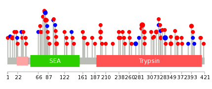 We used uniprot protein structure data from ensemble BioMart database. The size of circle shows the relative mutation number.