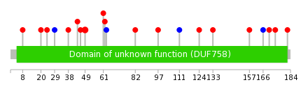 We used uniprot protein structure data from ensemble BioMart database. The size of circle shows the relative mutation number.