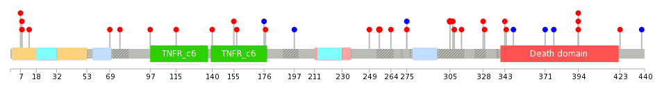 We used uniprot protein structure data from ensemble BioMart database. The size of circle shows the relative mutation number.