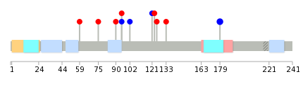 We used uniprot protein structure data from ensemble BioMart database. The size of circle shows the relative mutation number.