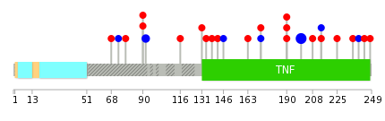 We used uniprot protein structure data from ensemble BioMart database. The size of circle shows the relative mutation number.