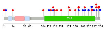 We used uniprot protein structure data from ensemble BioMart database. The size of circle shows the relative mutation number.