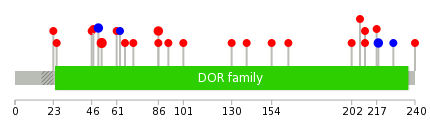 We used uniprot protein structure data from ensemble BioMart database. The size of circle shows the relative mutation number.