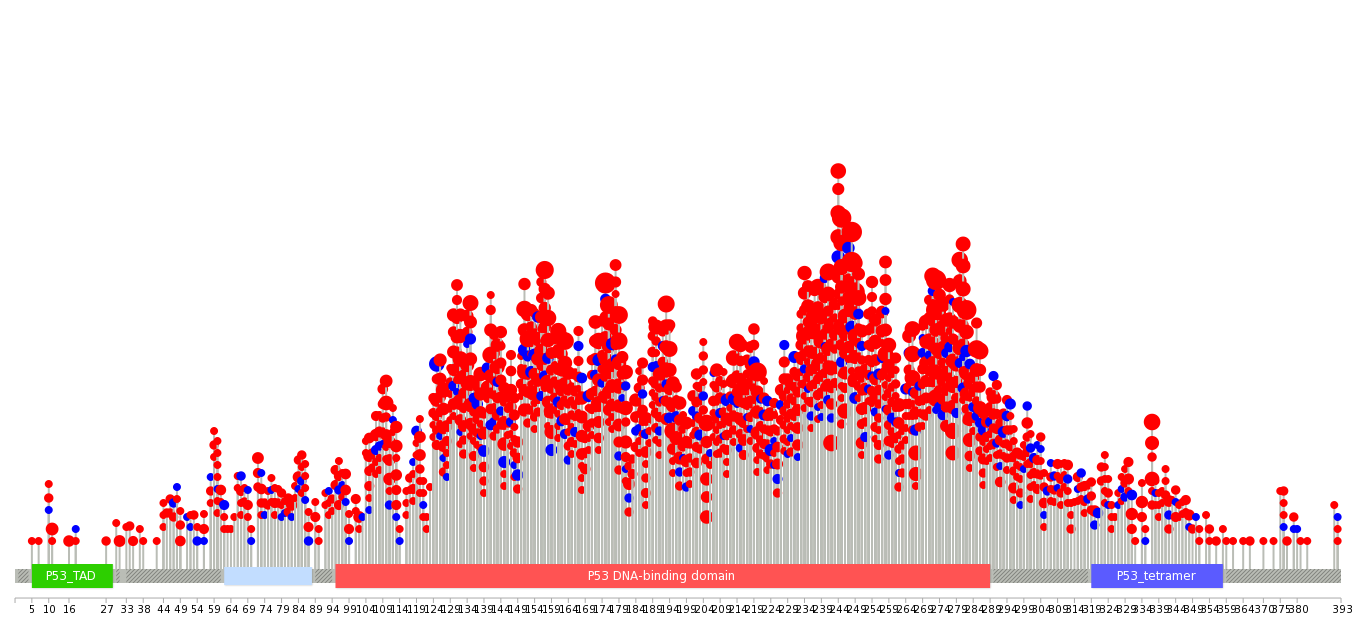 We used uniprot protein structure data from ensemble BioMart database. The size of circle shows the relative mutation number.