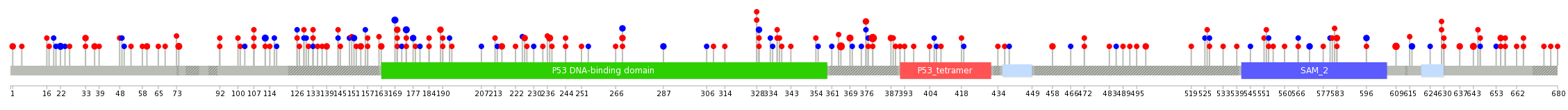 We used uniprot protein structure data from ensemble BioMart database. The size of circle shows the relative mutation number.