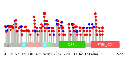 We used uniprot protein structure data from ensemble BioMart database. The size of circle shows the relative mutation number.