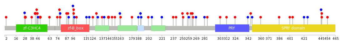 We used uniprot protein structure data from ensemble BioMart database. The size of circle shows the relative mutation number.