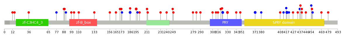 We used uniprot protein structure data from ensemble BioMart database. The size of circle shows the relative mutation number.