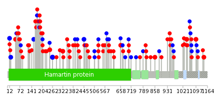 We used uniprot protein structure data from ensemble BioMart database. The size of circle shows the relative mutation number.