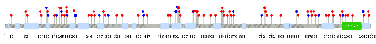 We used uniprot protein structure data from ensemble BioMart database. The size of circle shows the relative mutation number.