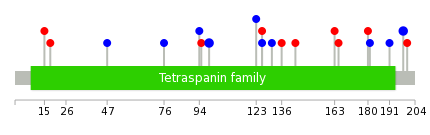 We used uniprot protein structure data from ensemble BioMart database. The size of circle shows the relative mutation number.