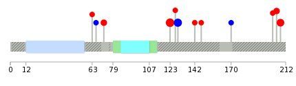 We used uniprot protein structure data from ensemble BioMart database. The size of circle shows the relative mutation number.