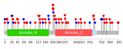 We used uniprot protein structure data from ensemble BioMart database. The size of circle shows the relative mutation number.