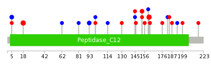 We used uniprot protein structure data from ensemble BioMart database. The size of circle shows the relative mutation number.