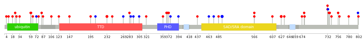 We used uniprot protein structure data from ensemble BioMart database. The size of circle shows the relative mutation number.