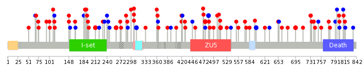 We used uniprot protein structure data from ensemble BioMart database. The size of circle shows the relative mutation number.