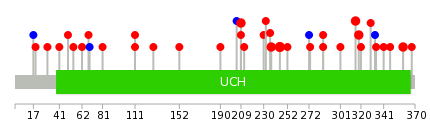 We used uniprot protein structure data from ensemble BioMart database. The size of circle shows the relative mutation number.