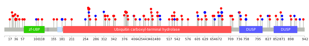 We used uniprot protein structure data from ensemble BioMart database. The size of circle shows the relative mutation number.