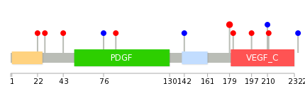 We used uniprot protein structure data from ensemble BioMart database. The size of circle shows the relative mutation number.