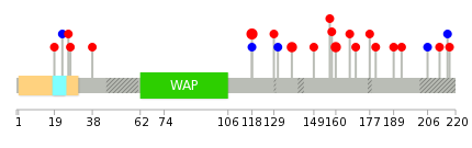 We used uniprot protein structure data from ensemble BioMart database. The size of circle shows the relative mutation number.