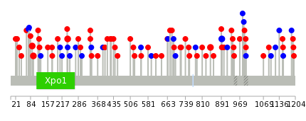 We used uniprot protein structure data from ensemble BioMart database. The size of circle shows the relative mutation number.